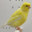 04.webp