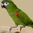 img_9482.jpeg