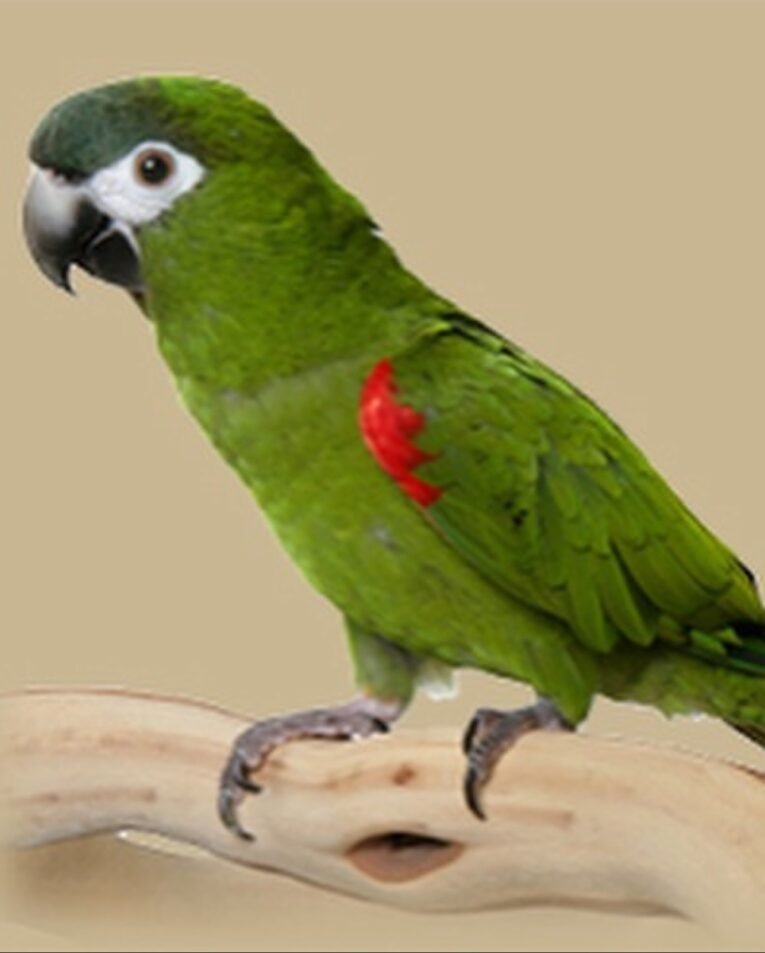 img_9482.jpeg