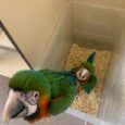 img_9490.jpeg