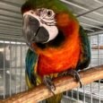 img_9493.jpeg