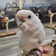 img_9553.jpeg