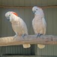 img_9556.jpeg
