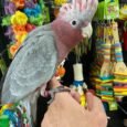 img_9848.jpeg