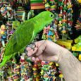 img_9866.jpeg