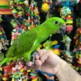 img_9867.jpeg