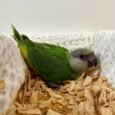 img_9983.jpeg
